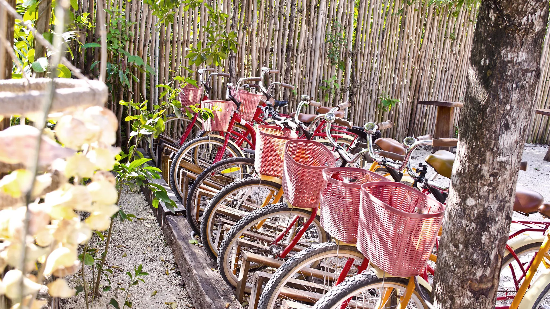 Casa Tulum Apartment Mexico
